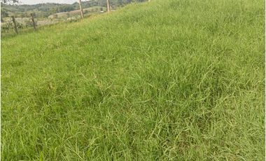 SE VENDE FINCA CON LAGOS EN ARABIA AREA