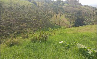 SE VENDE FINCA CON LAGOS EN ARABIA AREA