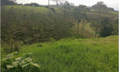 SE VENDE FINCA CON LAGOS EN ARABIA AREA