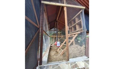 Venta De Finca  En Sopetran