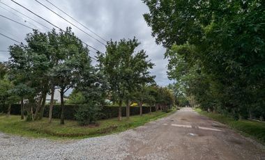 TERRENO ALQUILER, PILAR,MANUEL ALBERTI-32.288 Mts2