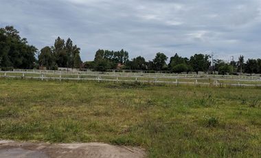 TERRENO ALQUILER, PILAR,MANUEL ALBERTI-32.288 Mts2
