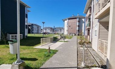 Departamento en Arriendo en Avenida Cuarta Terraza 1860 - Alta Vista 3