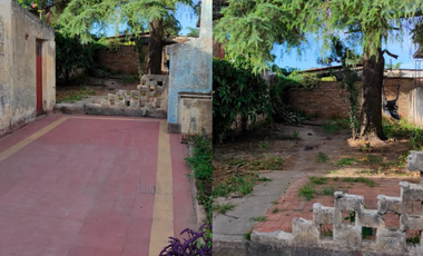 LA PAZ NÂº 617