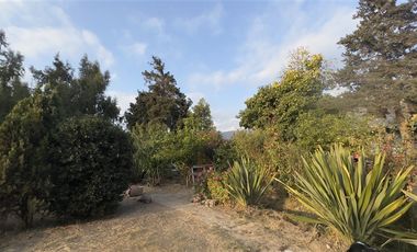 Casa en Arriendo en Lo Cañas