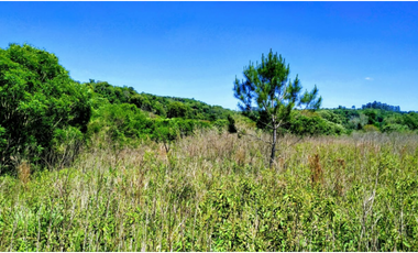 Vendo Chacra de 43,5 hectareas en Aristobulo del Valle Arroyo Alegre