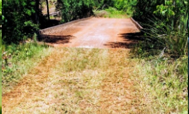 Vendo Chacra de 43,5 hectareas en Aristobulo del Valle Arroyo Alegre