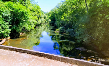Vendo Chacra de 43,5 hectareas en Aristobulo del Valle Arroyo Alegre