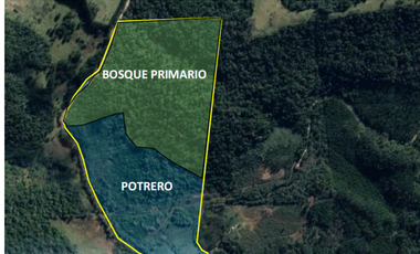 Vendo Chacra de 43,5 hectareas en Aristobulo del Valle Arroyo Alegre