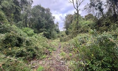 Parcela de Agrado-Naturaleza, Tranquilidad y Conectividad en un solo lugar