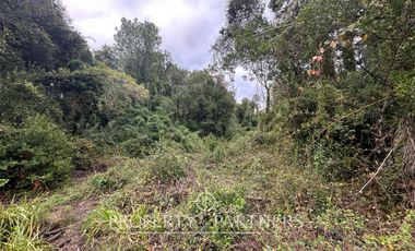 Parcela de Agrado-Naturaleza, Tranquilidad y Conectividad en un solo lugar