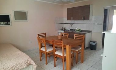 Vendo departamento en  PA zona Centro