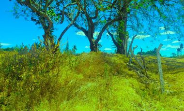 Venta terreno de 16.000 m² en Puembo zona estratégica a $62 por metro –  AH