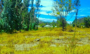 Venta terreno de 16.000 m² en Puembo zona estratégica a $62 por metro –  AH