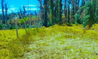 Venta terreno de 16.000 m² en Puembo zona estratégica a $62 por metro –  AH