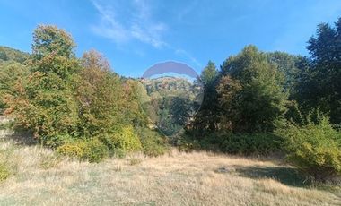 Parcela de agrado - Venta - Curarrehue, Araucanía