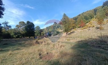 Parcela de agrado - Venta - Curarrehue, Araucanía