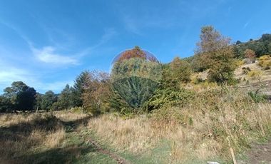 Parcela de agrado - Venta - Curarrehue, Araucanía