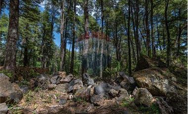¡5000 mts con ROL, luz, agua y caminos, OFERTA!