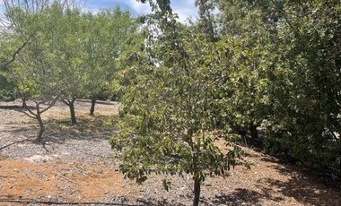 Parcela en Club de Golf Las Araucarias
