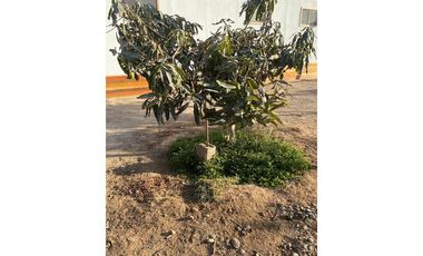 Refugio Tranquilo: Alquiler Exclusivo en Arica