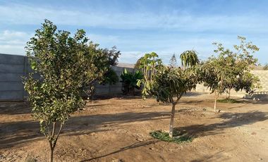 Refugio Tranquilo: Alquiler Exclusivo en Arica