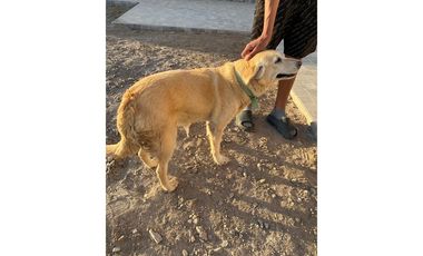 Refugio Tranquilo: Alquiler Exclusivo en Arica