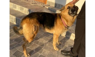 Refugio Tranquilo: Alquiler Exclusivo en Arica