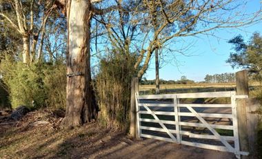 VENTA DE LOTES IDEAL INVERSOR