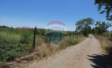 Venta, Terreno Agrícola, 125.000 mts2, Pelarco