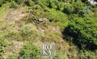 Terreno en venta Corral Falso zona Libramiento