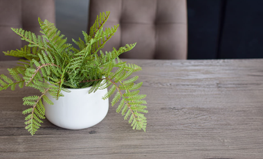 Preventa: Departamentos de lujo en Torres Livet, nuevo desarrollo en Jilotzingo.