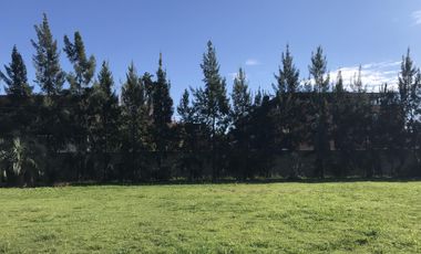 Terreno en San Isidro