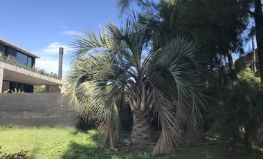 Terreno en San Isidro