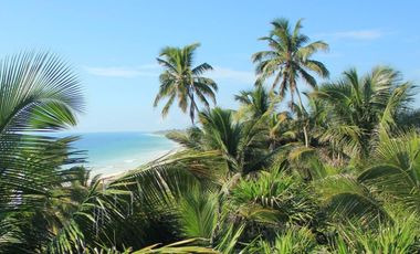 SIAN KA'AN - CASA SIANKAANA