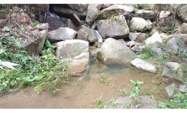 Venta de lotes en Cisneros, Antioquia. Se vende loteo completo.