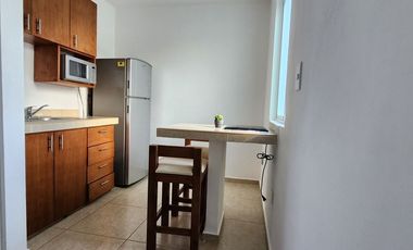 Renta departamento amueblado 1 Recamara Florida