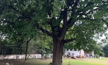 Quinta en venta en Santiago