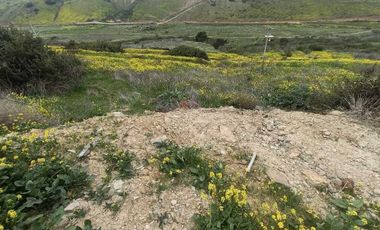 Construye tu hogar en Lomas de Cantamar: Terreno en Venta al Sur de Rosarito