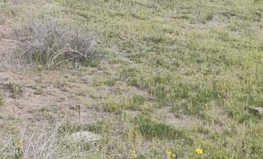 Lote al sur de Playas de Rosarito