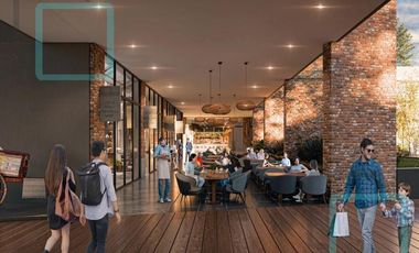 LOCAL COMERCIAL EN VENTA/RENTA CARRETERA NACIONAL SANTIAGO