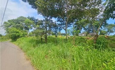 Venta de finca 4.8 has comercial en La Chorrera, Puerto Caimito