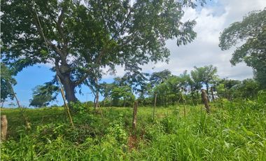 Venta de finca 4.8 has comercial en La Chorrera, Puerto Caimito