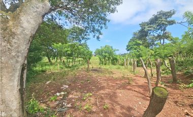 Venta de finca 4.8 has comercial en La Chorrera, Puerto Caimito