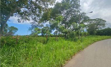Venta de finca 4.8 has comercial en La Chorrera, Puerto Caimito