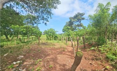 Venta de finca 4.8 has comercial en La Chorrera, Puerto Caimito