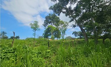 Venta de finca 4.8 has comercial en La Chorrera, Puerto Caimito