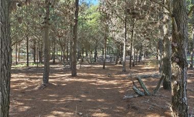 Terreno en Venta - Costa Esmeralda - Residencial II - A metros del Mar