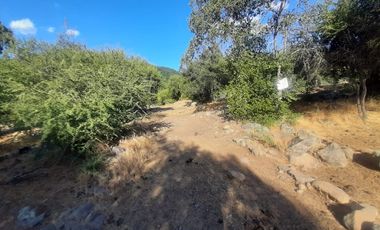Vende Parcela de Agrado en Huemul, Comuna de Teno