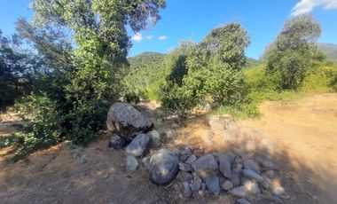 Vende Parcela de Agrado en Huemul, Comuna de Teno
